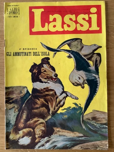 Albo oro lassi - ,